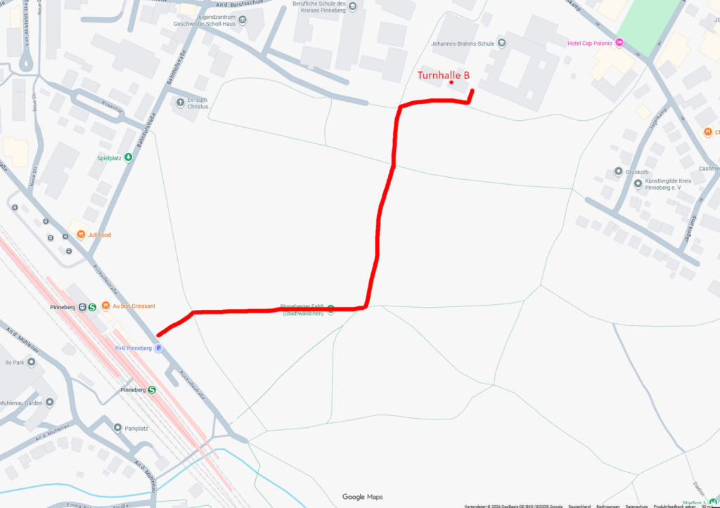 Weg durch den Wald